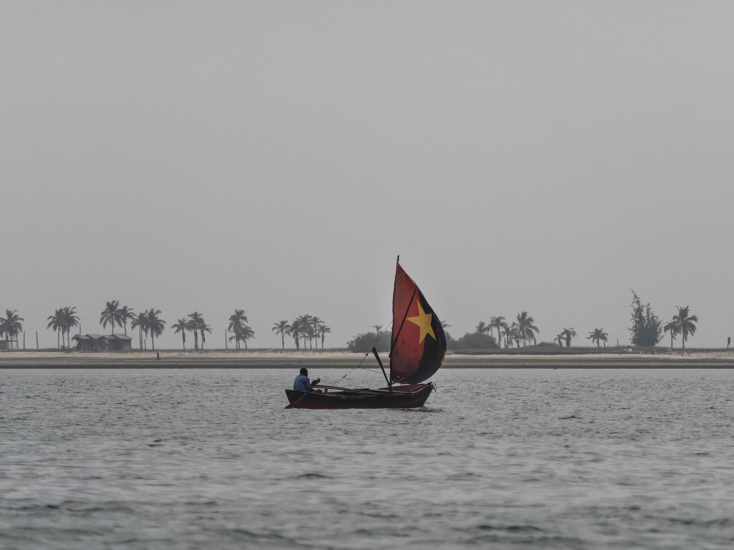 jorge-sa-pinheiro-AfFhEeQg3Nk-unsplash