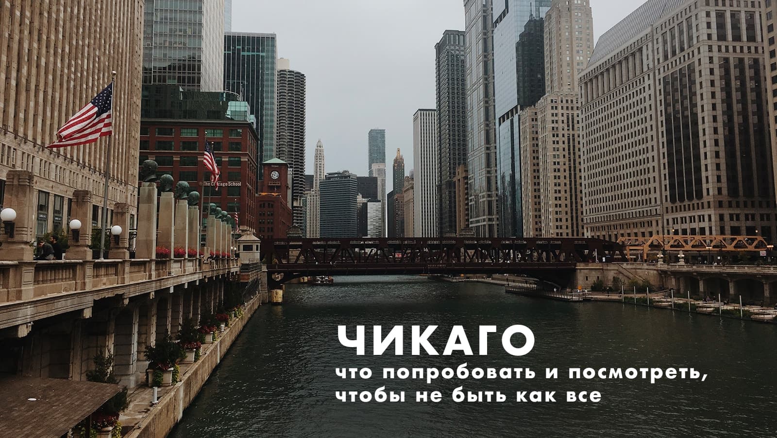 Чикаго шапка -1 (1)-min