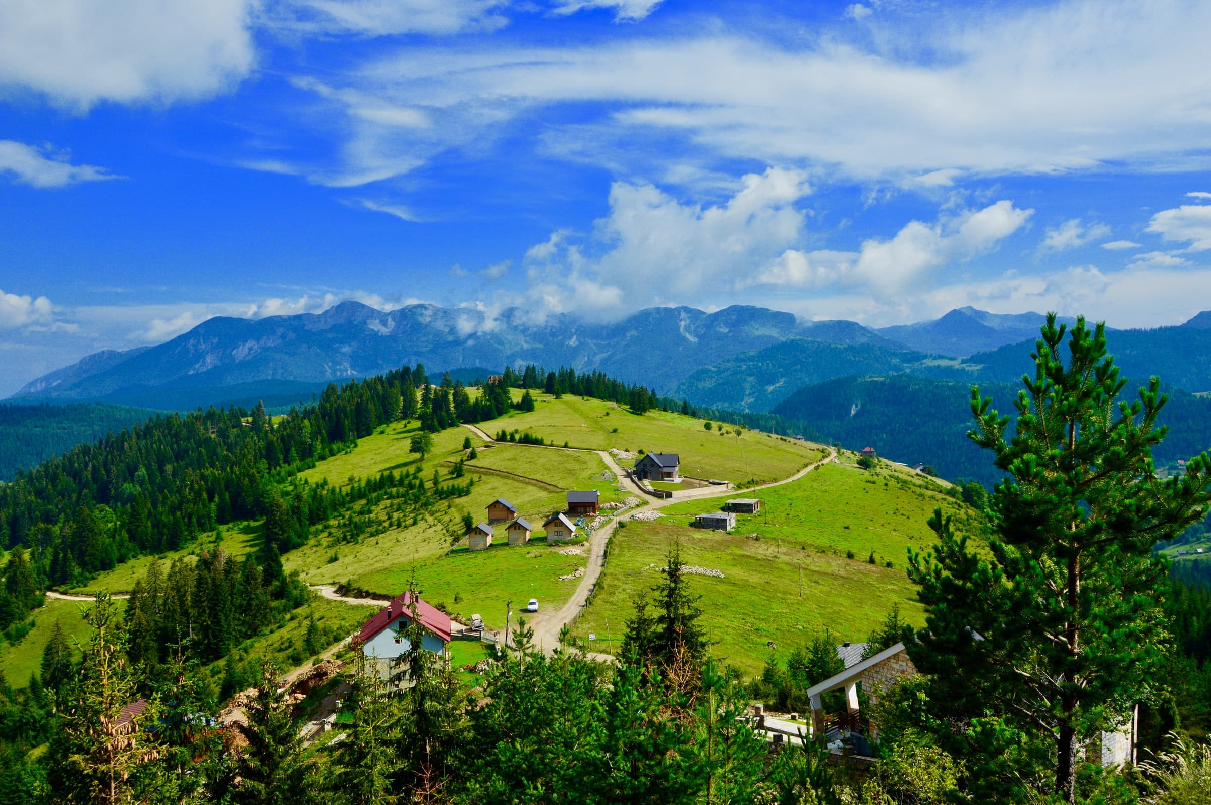 albijona-fejzullahu-6qMtQ-TctjI-unsplash