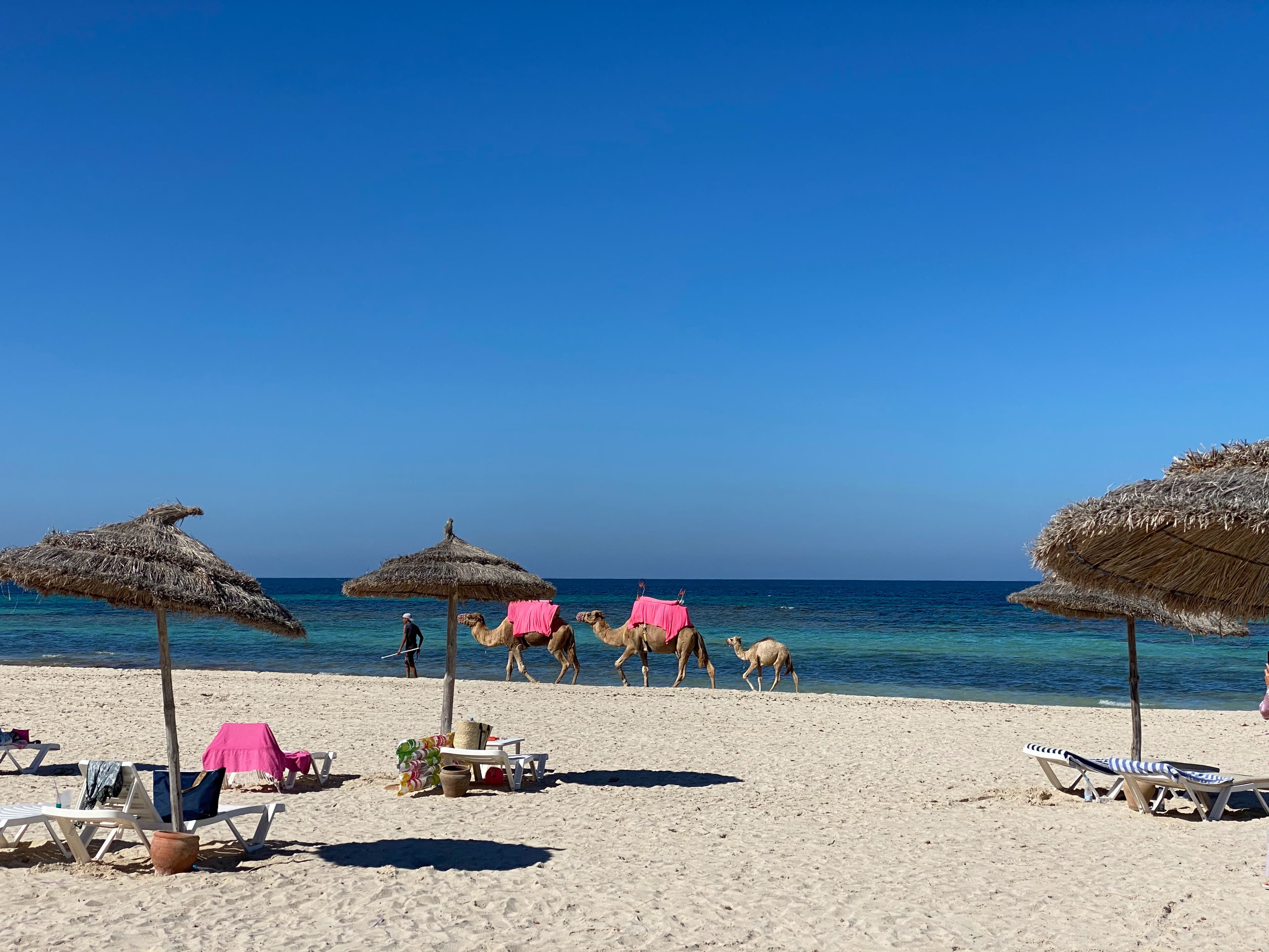 aleksandr-sali-Tunisia
