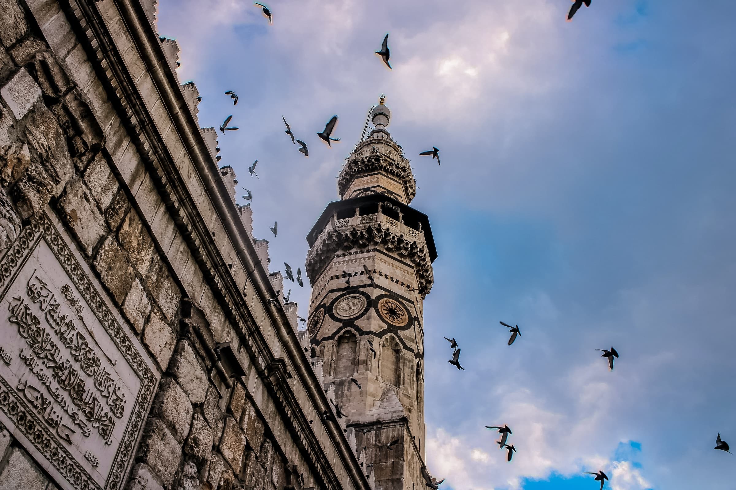 abd-sarakbi-wMUzleDWMxc-unsplash
