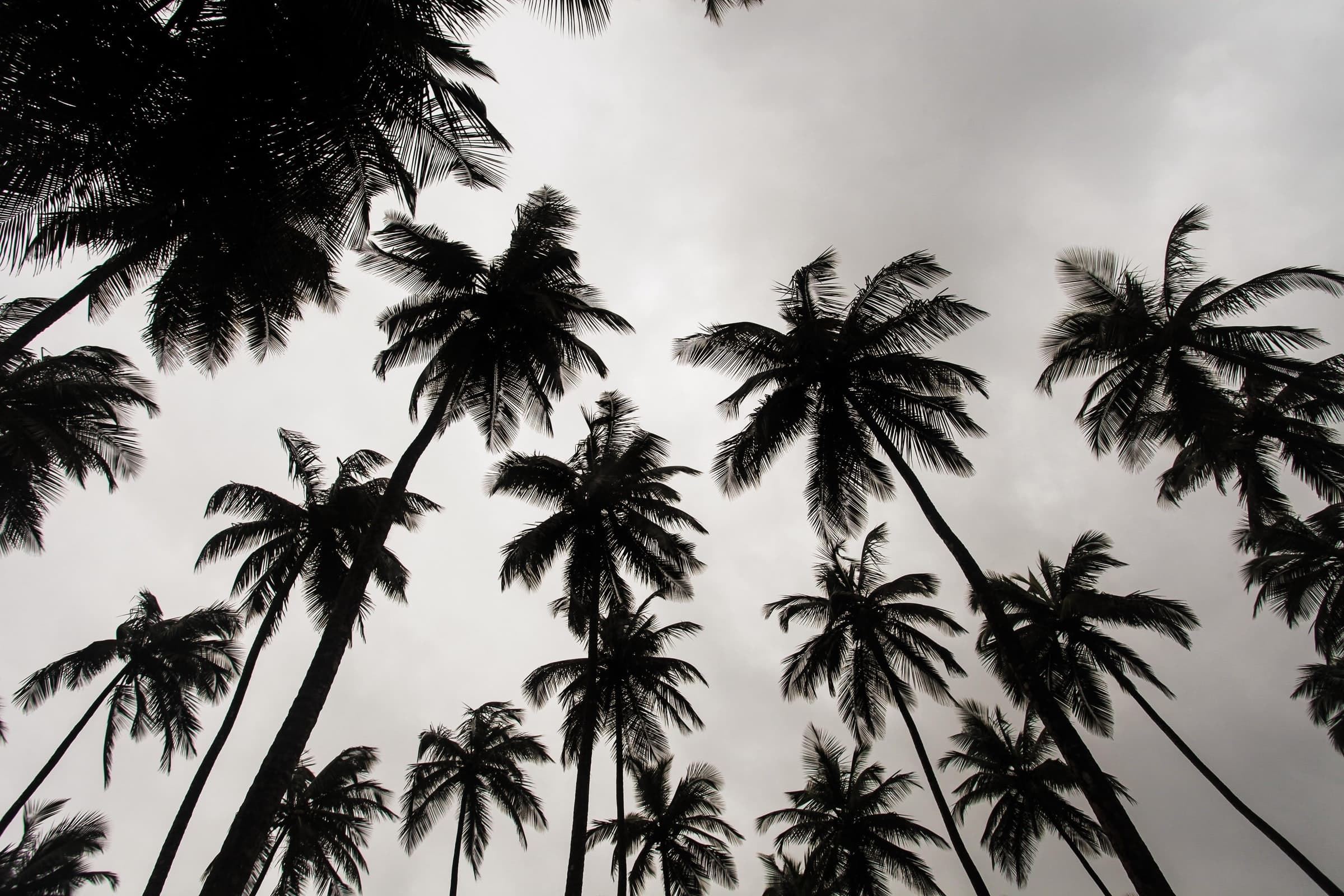 bethany-laird-pW1JvCoA9Kg-unsplash