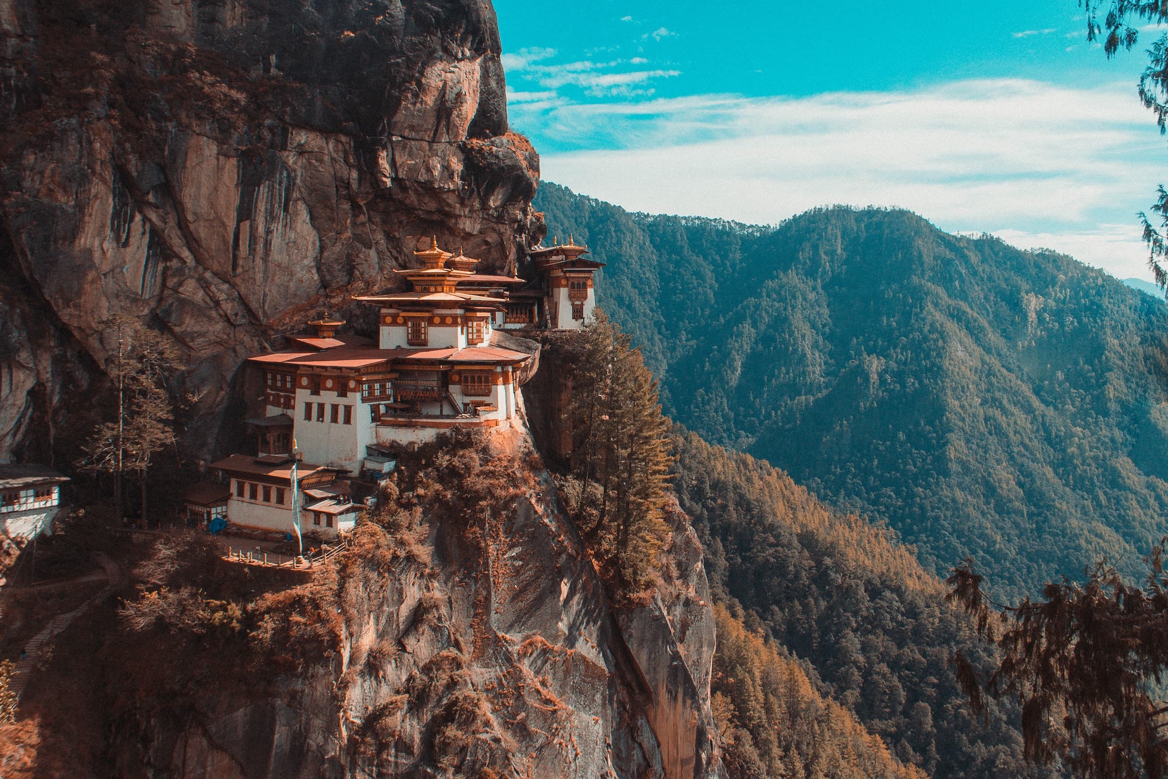 aaron-santelices-ZdwVvRdel8A-unsplash