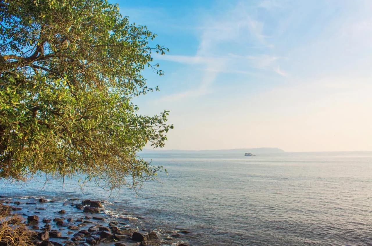 Ahilya by the Sea — 6