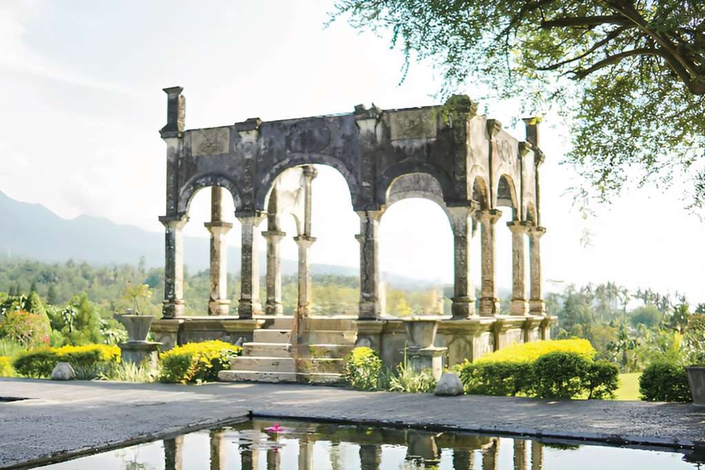 Alila Manggis - 3