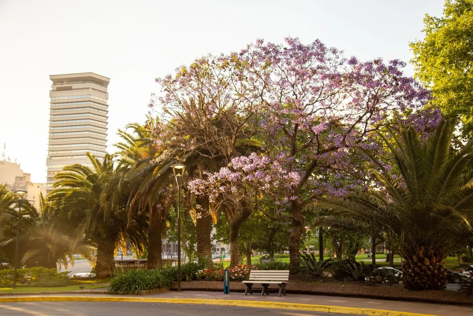 Park Tower, a Luxury Collection Hotel, Buenos Aires - 5
