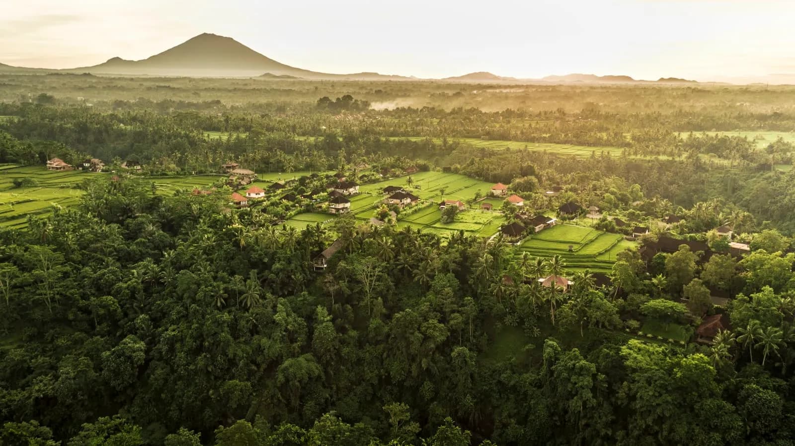 COMO Uma Ubud, Bali - 3