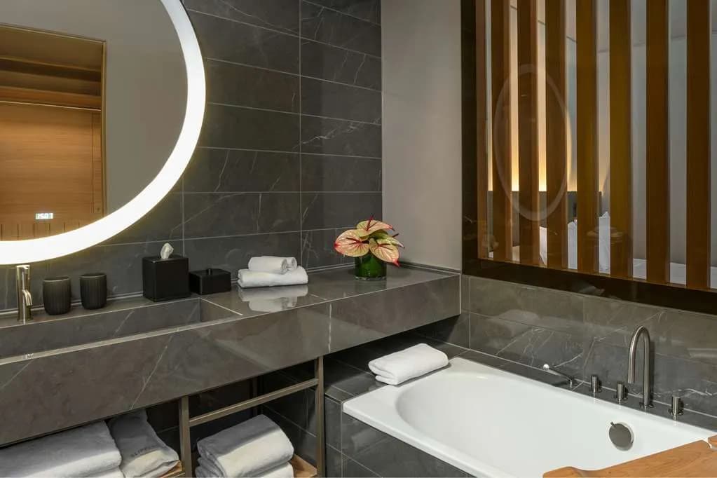 Hyatt Regency Zurich Airport the Circle - 5