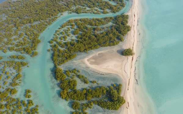 Anantara Desert Islands Resort & Spa - 2