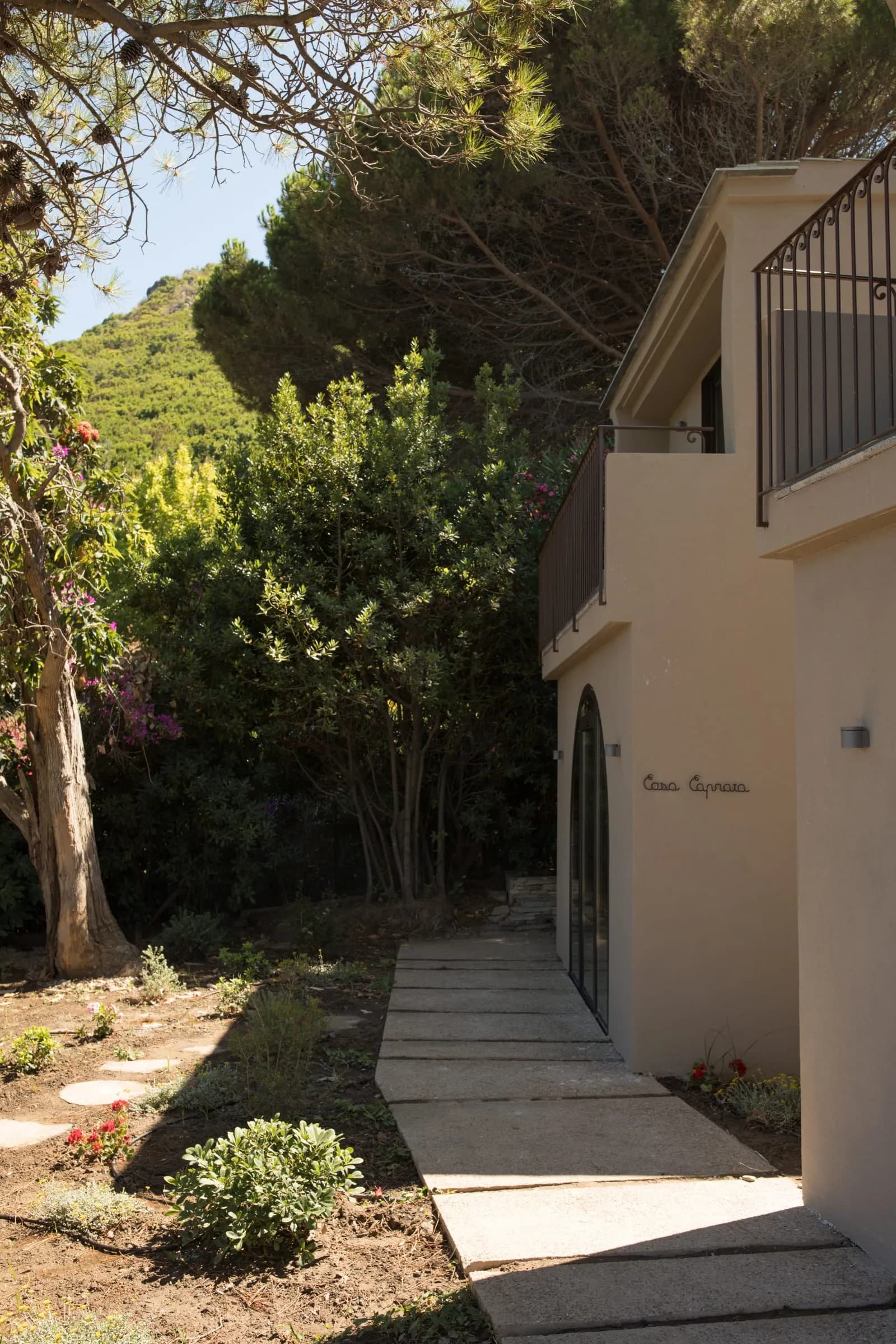 Domaine Misincu - 3