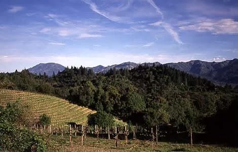 Southbridge Napa Valley - 4