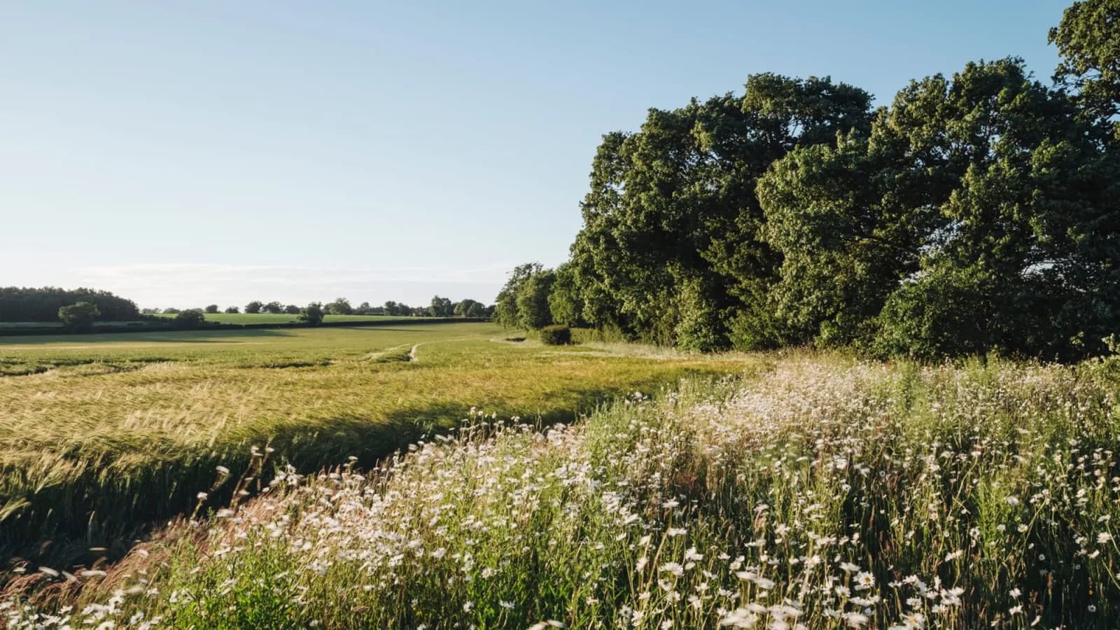Wildflower Farms, Auberge Collection - 2